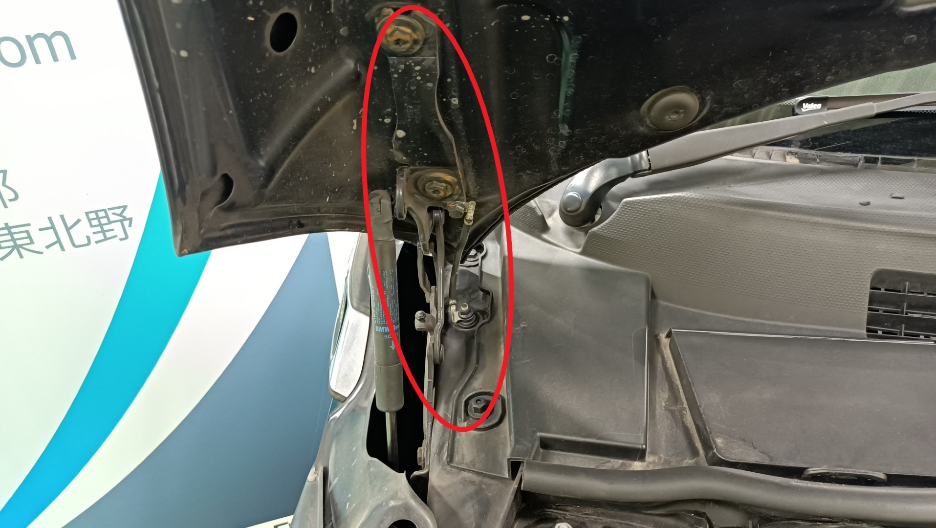BMW ミニ フードヒンジ 左右 クーパークラブマン DBA-ZF16 ( R55 ) 2012