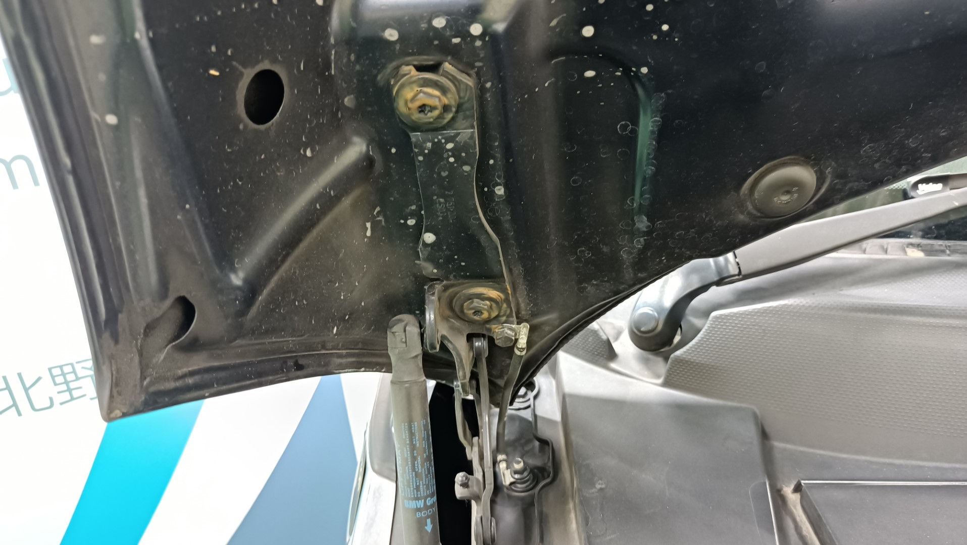 BMW ミニ フードヒンジ 左右 クーパークラブマン DBA-ZF16 ( R55 ) 2012